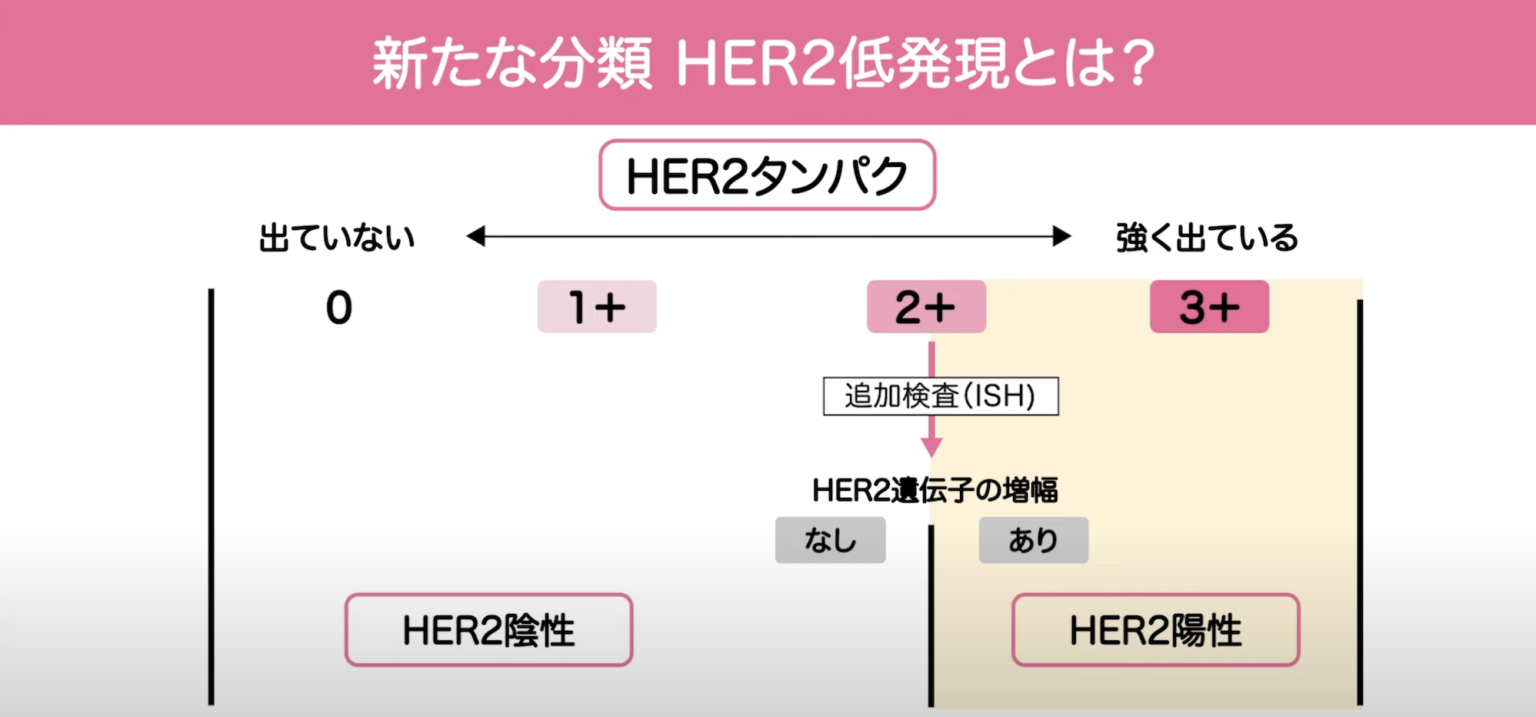 HER2 陰性乳がんの治療目標は何ですか?